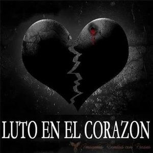 Meet your Posher, Leticia